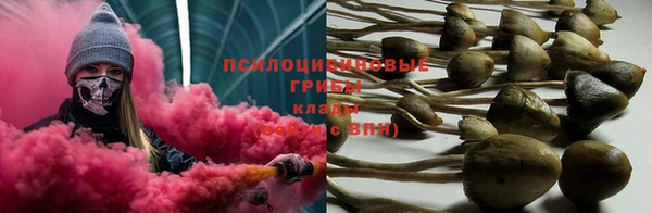тгк Зеленодольск