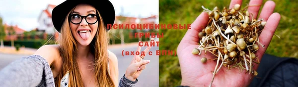а пвп мука Зерноград