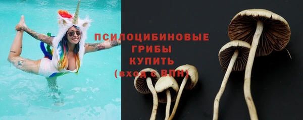 тгк Зеленодольск