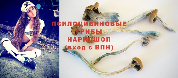 тгк Зеленодольск